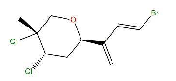 Anverene E